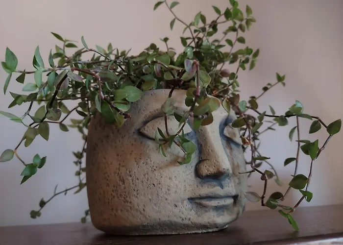 Wygodny Przestronny Janowskie Blonia * Румя