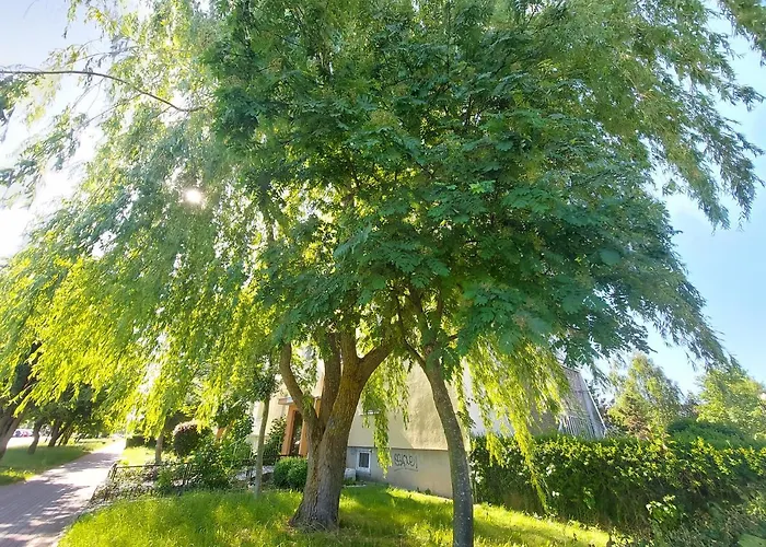 Апартаменты Wygodny Przestronny Janowskie Blonia Румя